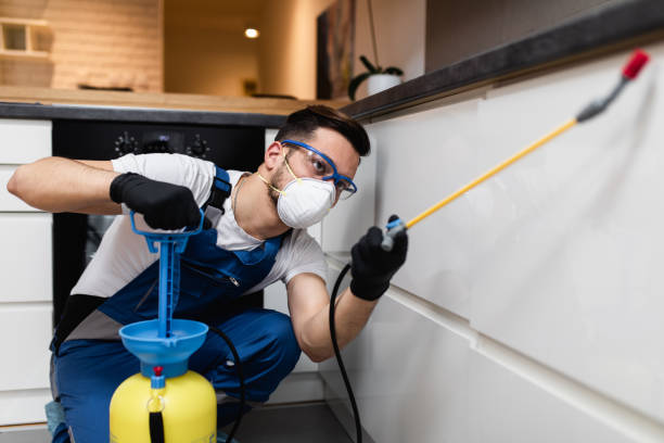 Wildlife Control Services in Greer, SC