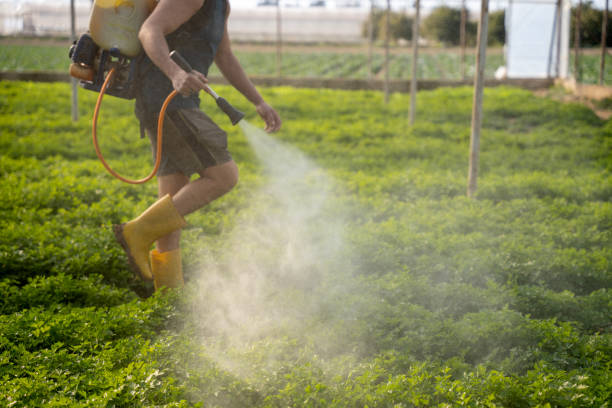 Best Pest Control Near Me  in Greer, SC