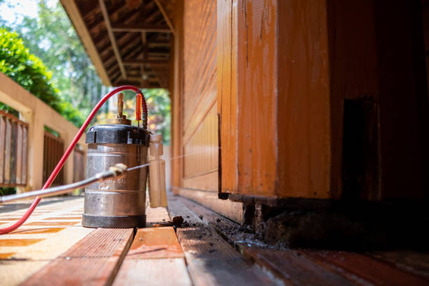 Pest Control for Restaurants in Greer, SC