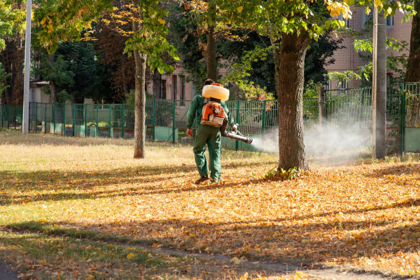 Best Wasp Removal Services  in Greer, SC