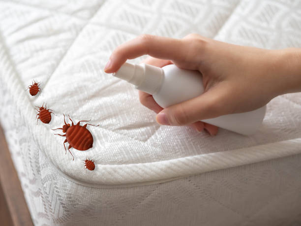 Best Best Pest Control Companies  in Greer, SC