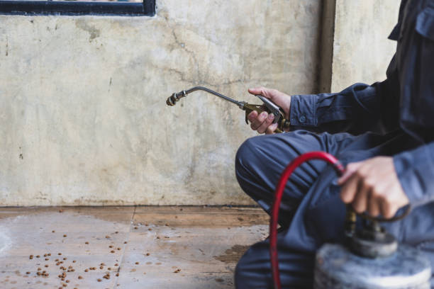 Best Exterminator Services  in Greer, SC